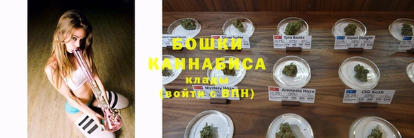 твердый Инсар