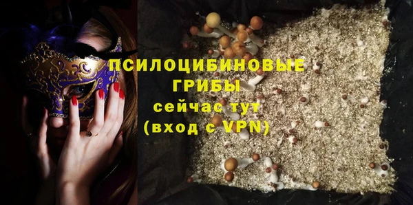 a pvp Арсеньев