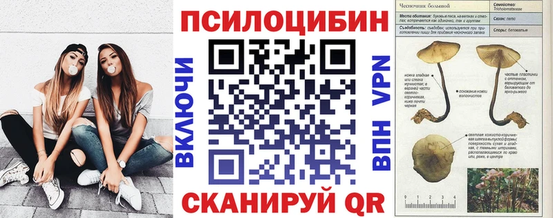Галлюциногенные грибы Psilocybine cubensis  Медынь 